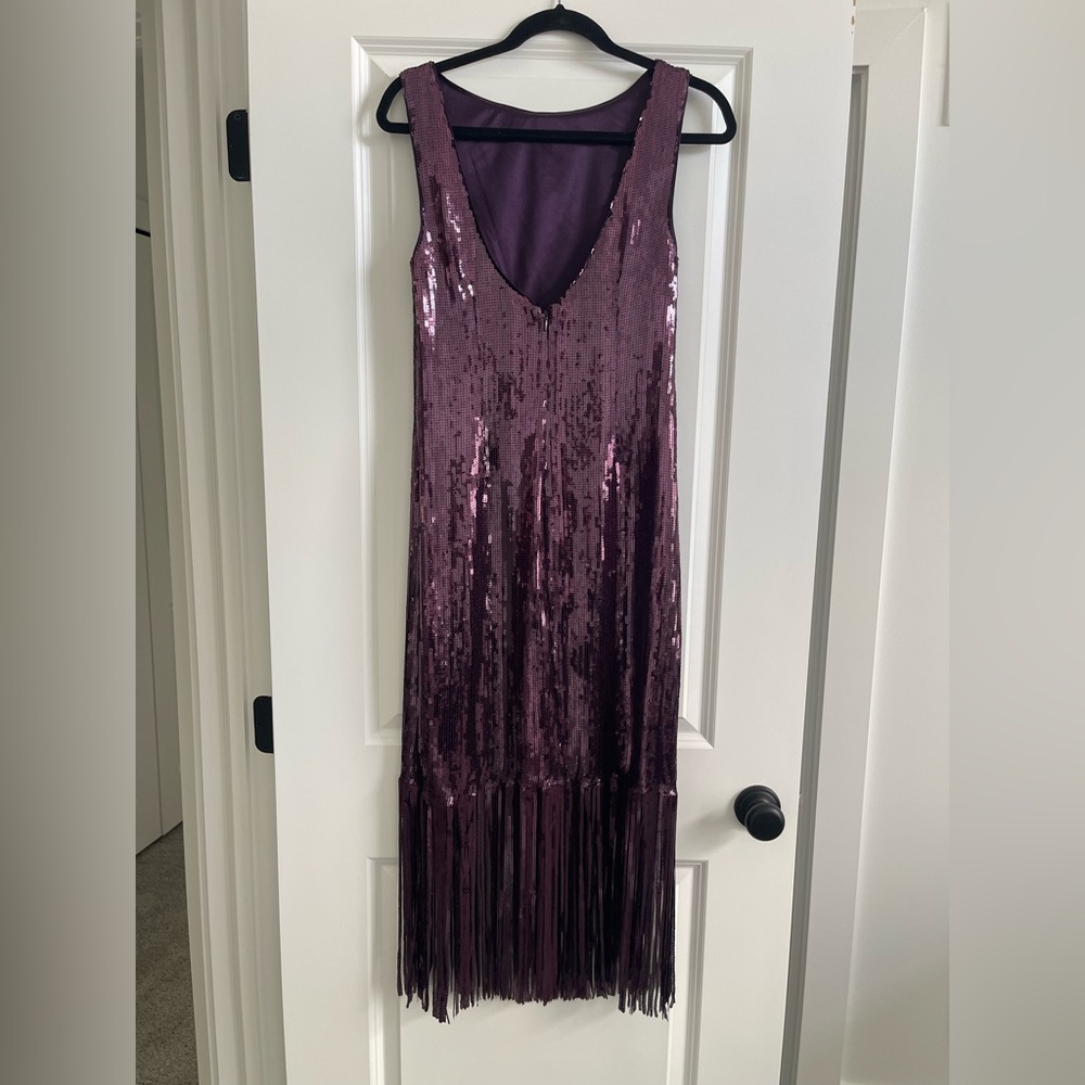 Elegant Purple Sequin Fringe Dress
Never been worn